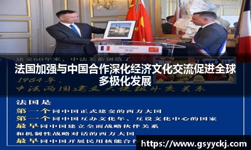 法国加强与中国合作深化经济文化交流促进全球多极化发展